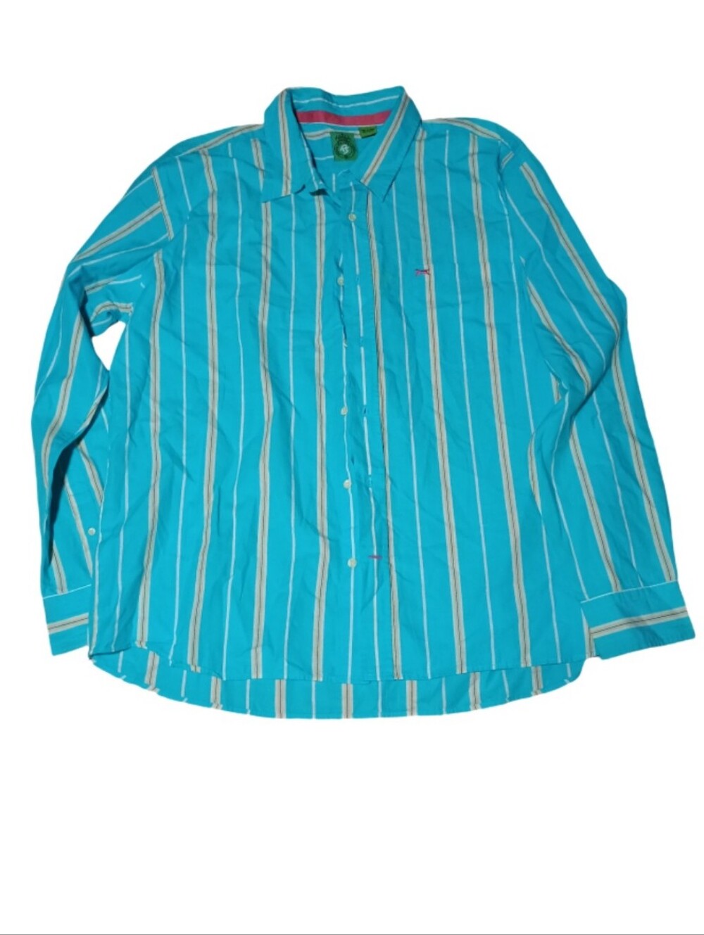 Red Snap Casual Stripe Button-Down Shirt in Turquoise